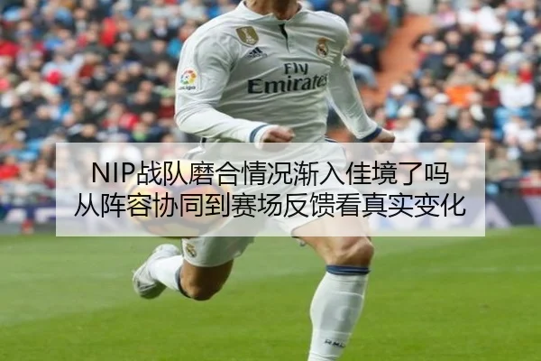 NIP战队磨合情况渐入佳境了吗 从阵容协同到赛场反馈看真实变化